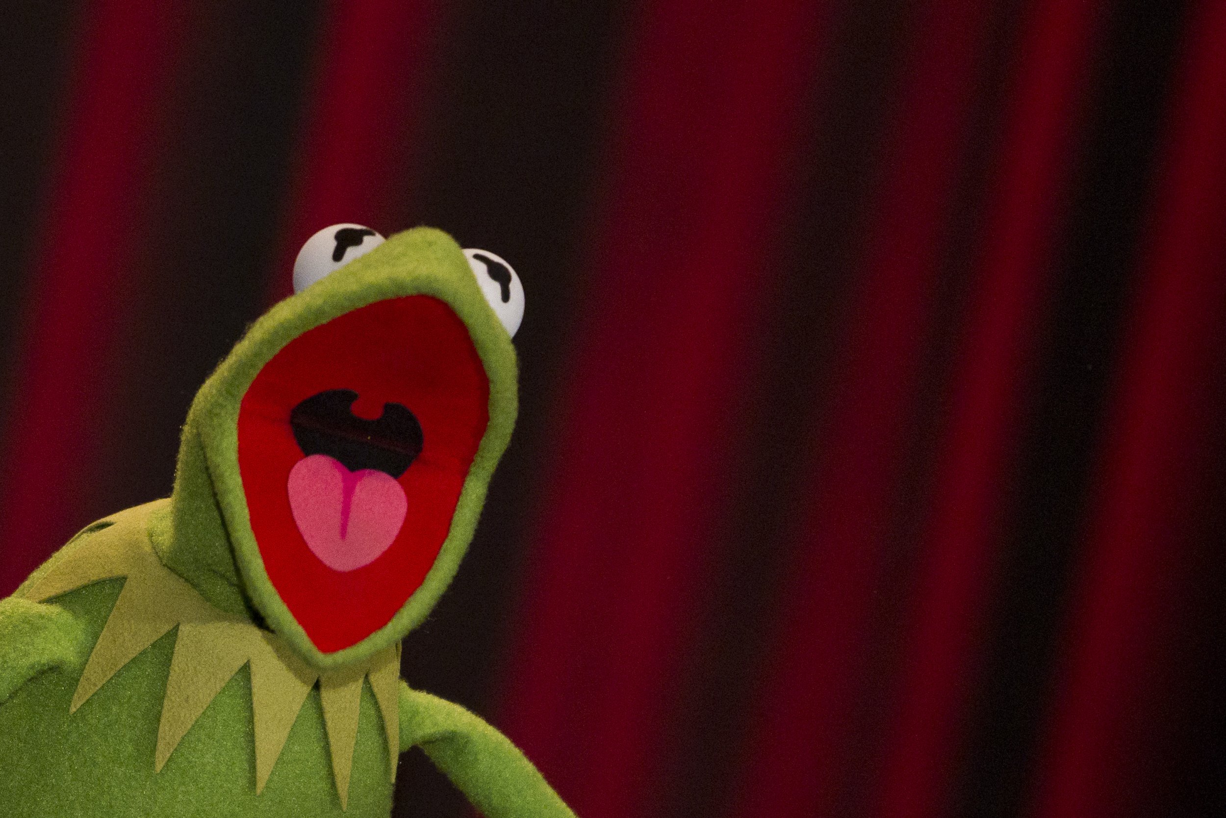 The velvet frog describes the "The Muppets," as being about "...