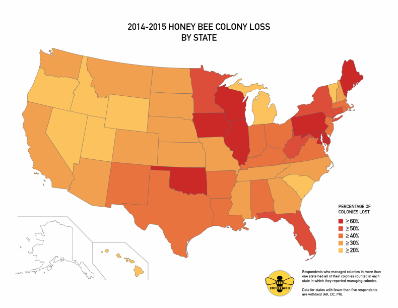 honeybee-loss-US_Map-03