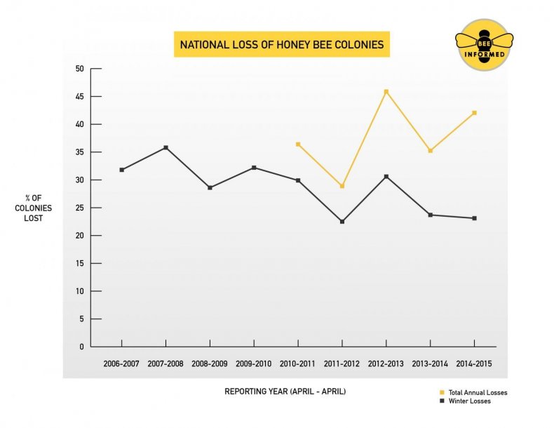 honeybee-losses