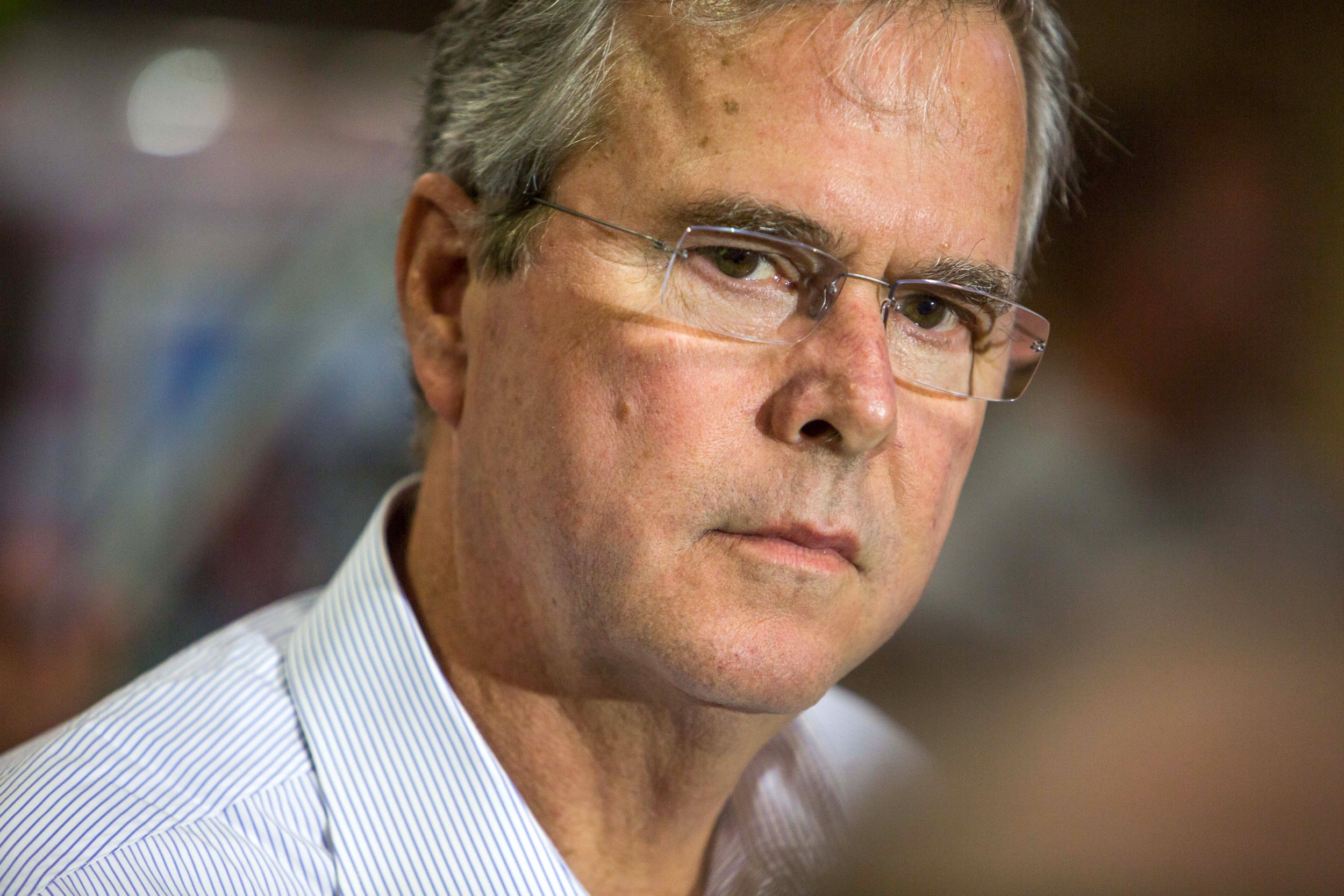 Jeb Bush