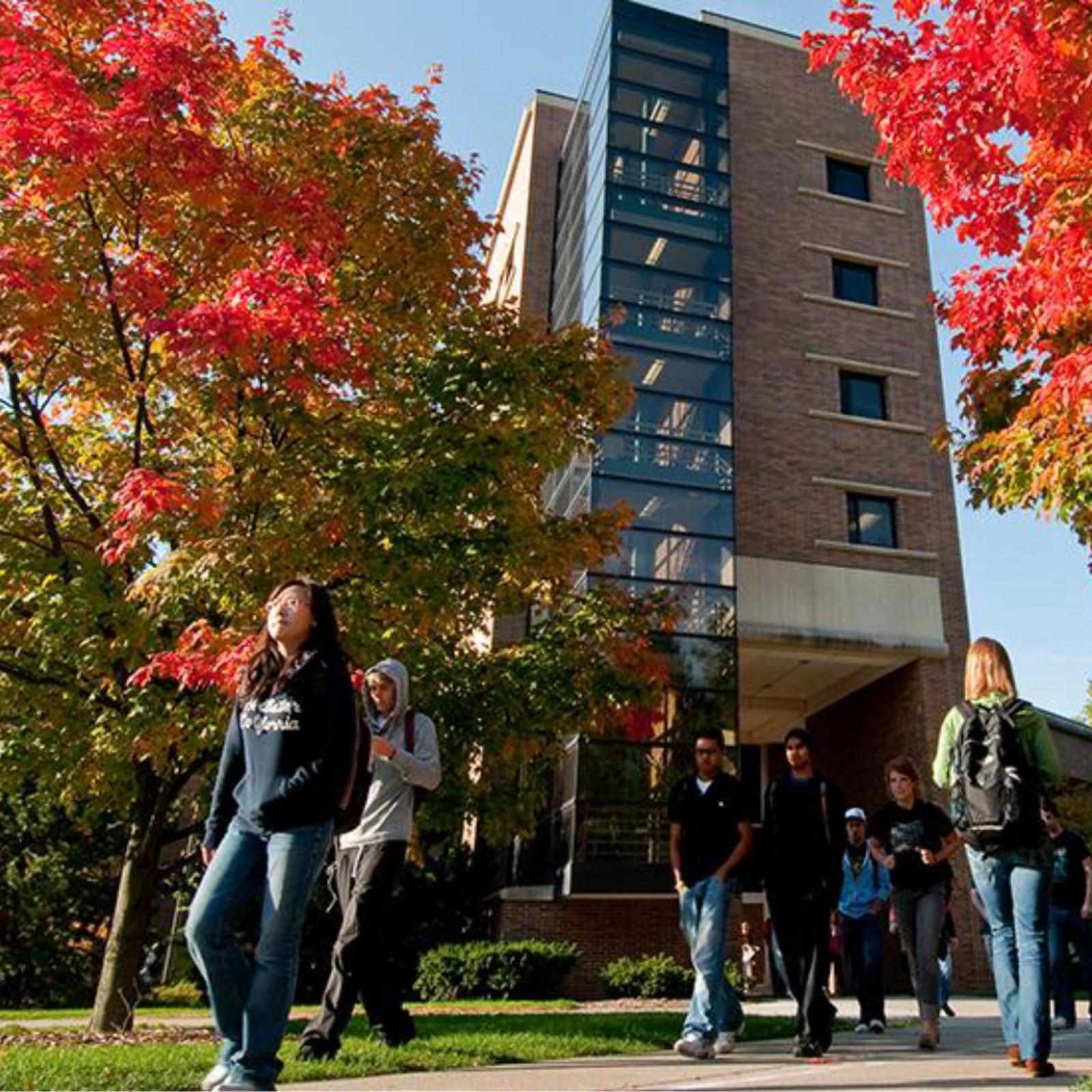 The Eli Broad College Of Business At Michigan State University