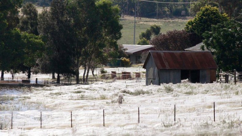 wagga-wagga-australia