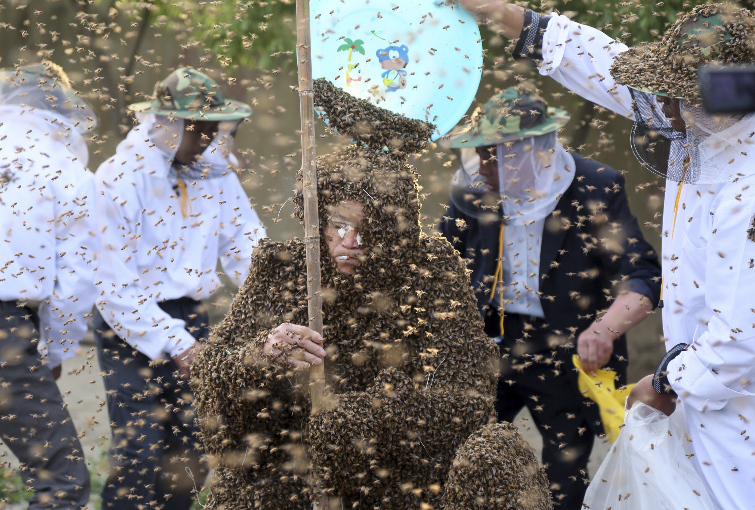 Chinese Man Dons 240 Pound Bee Suit Fails To Set Record Newsweek