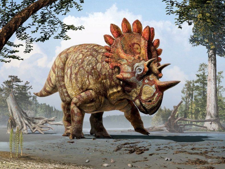 2015-06-04T160448Z_999244173_GF10000116749_RTRMADP_3_SCIENCE-DINOSAUR