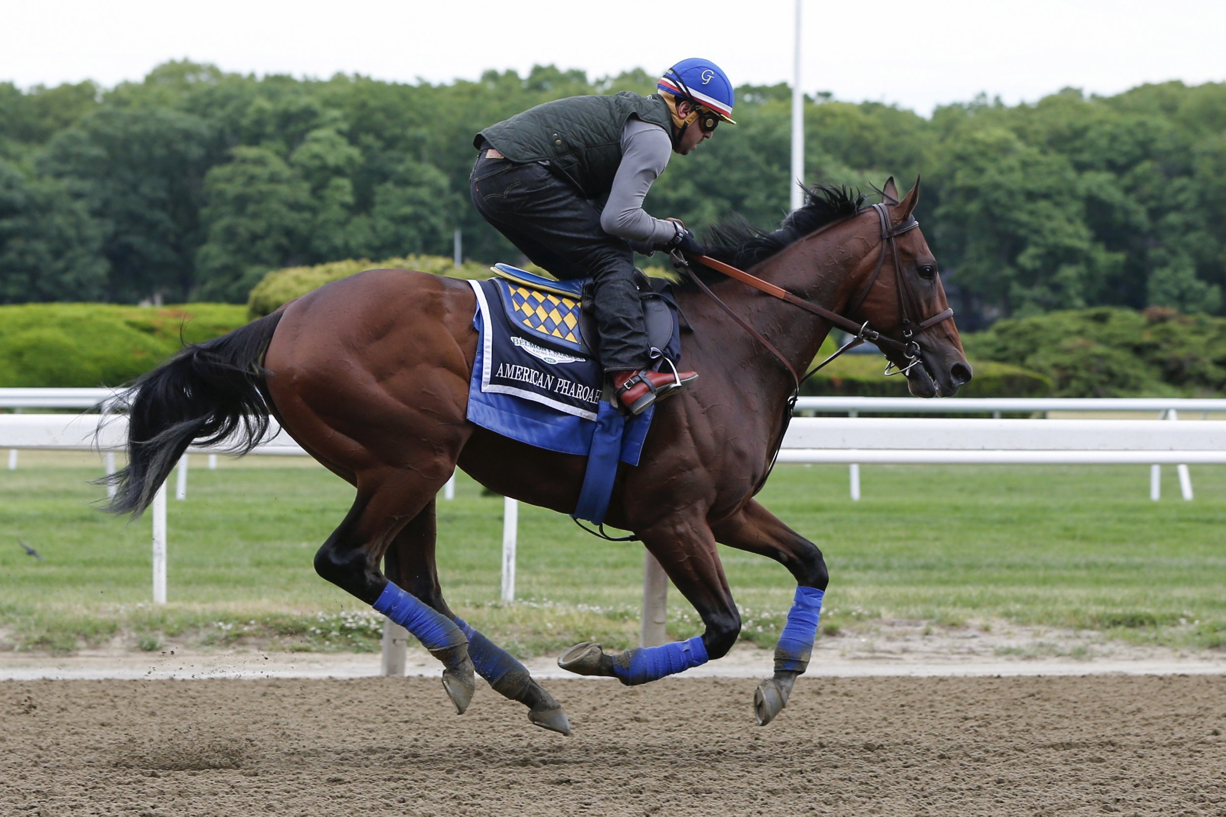 Everything You Need to Know About the Belmont Stakes - Newsweek