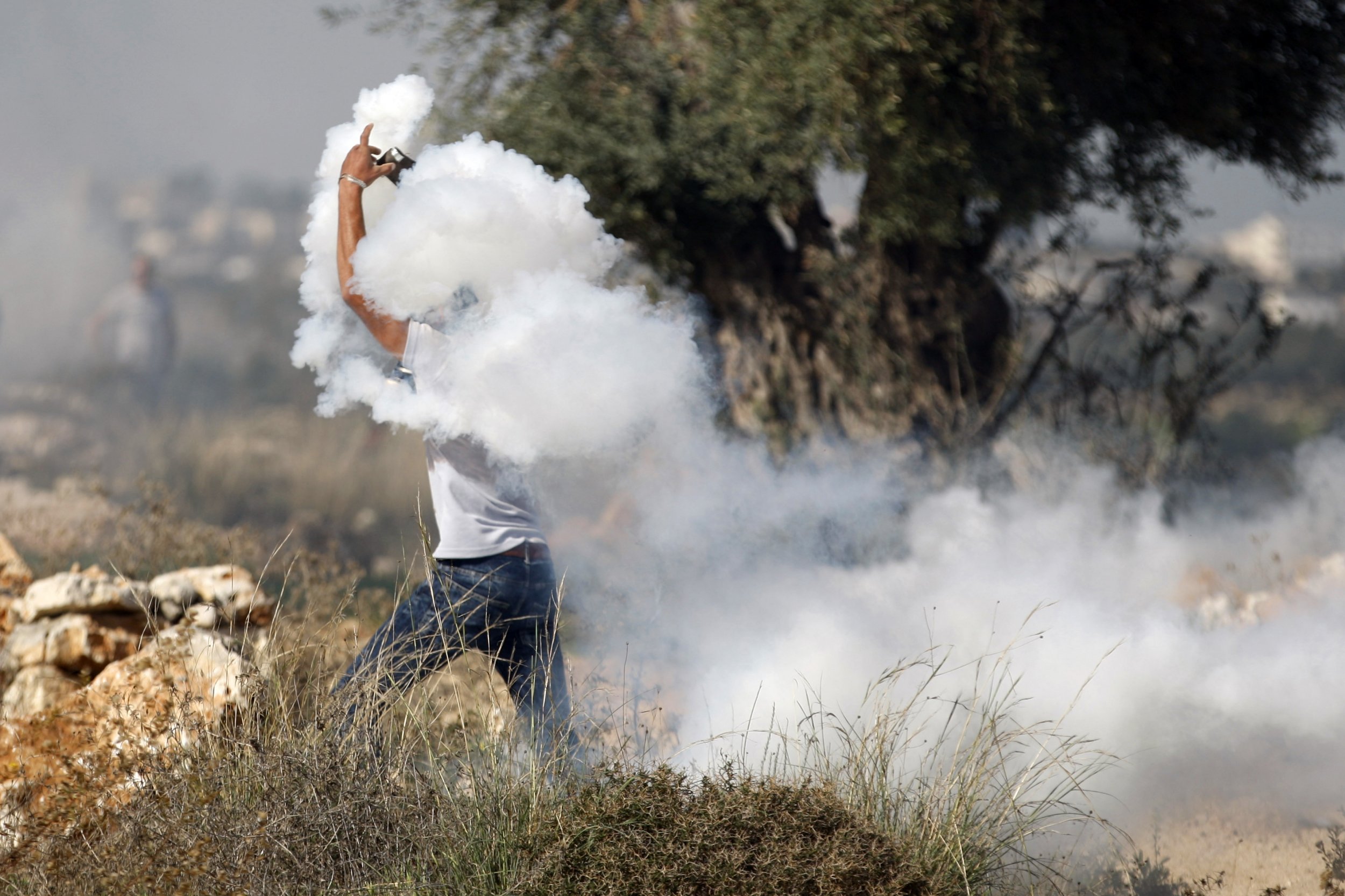 0609_Palestine