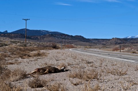 06_15_Route50_04