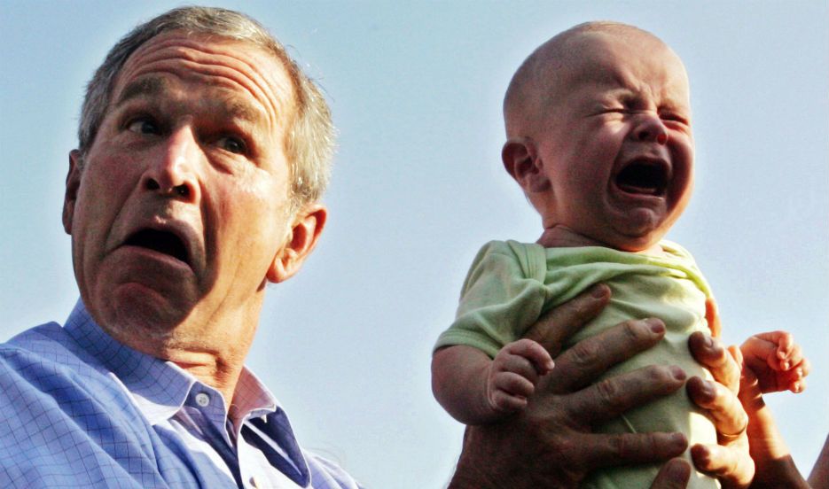 Bush_Resize Bush_Resize