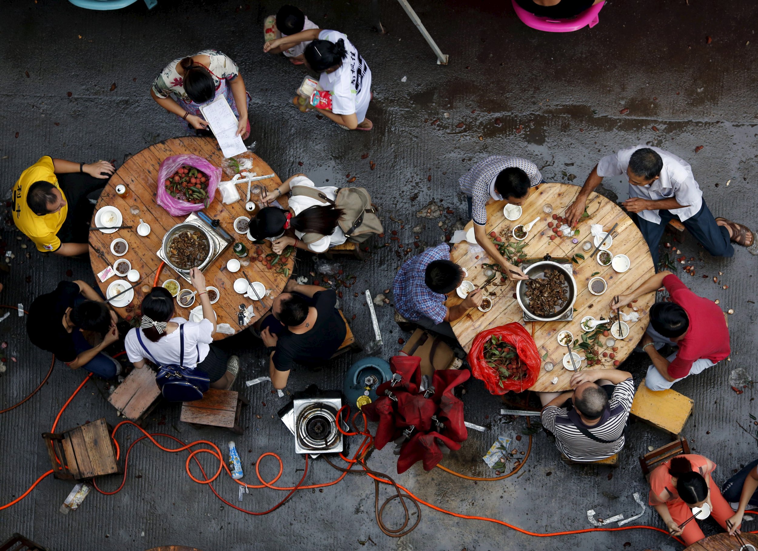 0622_dog_eating_china