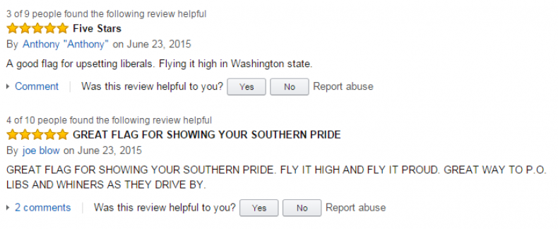 Confederate flag review 1
