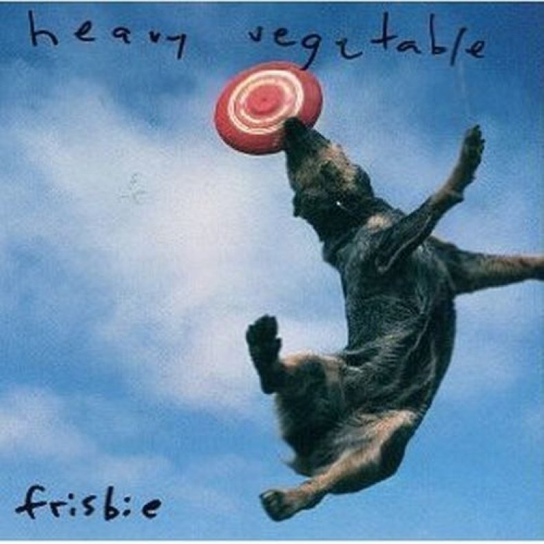 frisbie