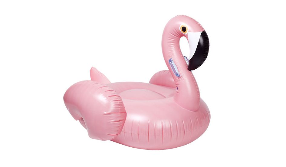 Flamingo, Conrad