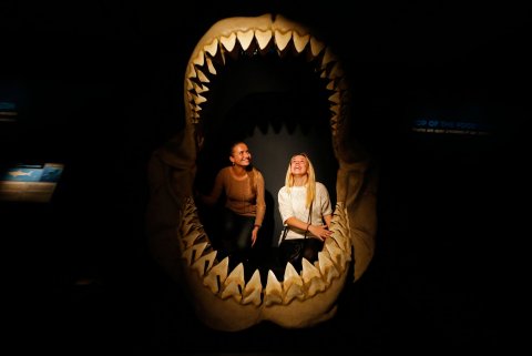 06_26_100WrongSharkWeek_01