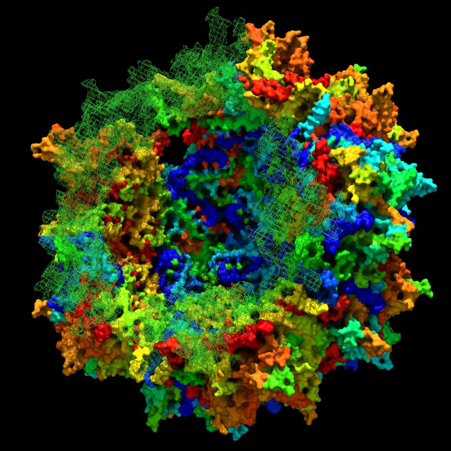 Resurrect virus gene therapy