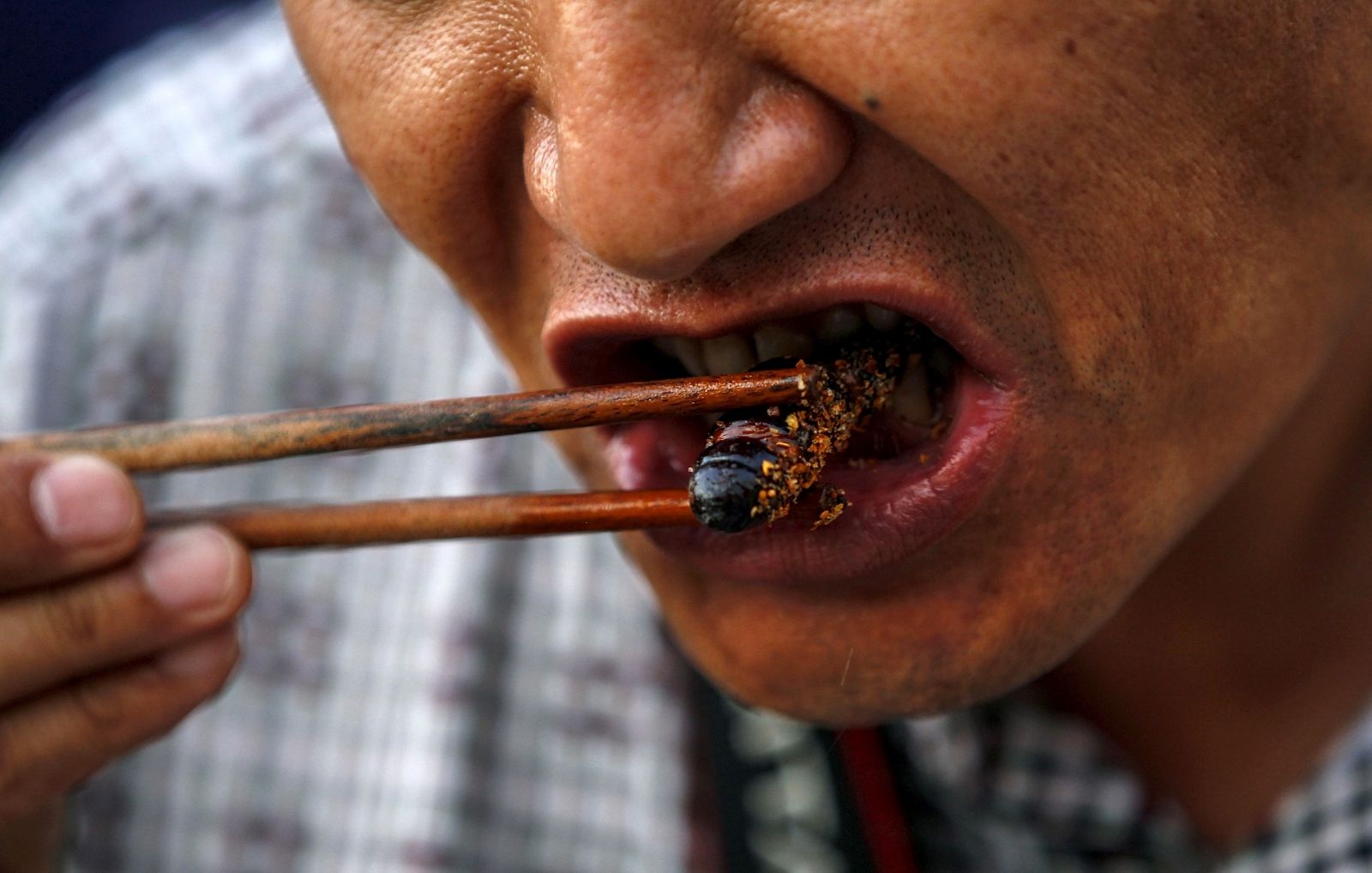 bug-s-life-edible-insect-industry-facing-new-european-union-regulation