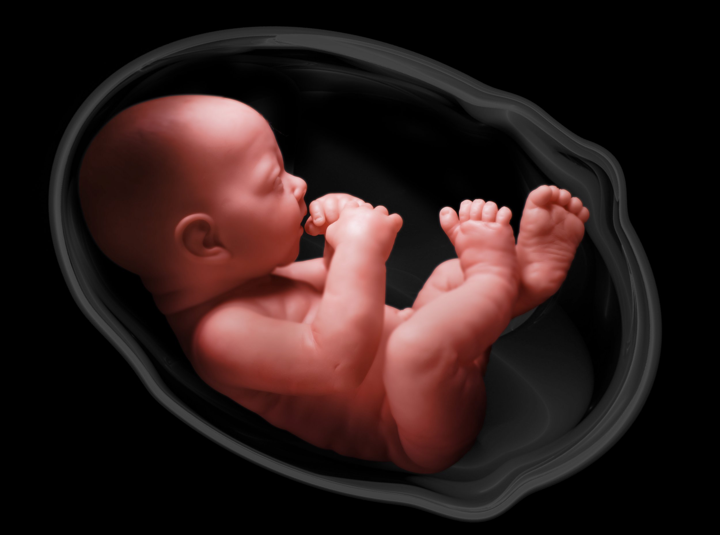 Внутриутробная жизнь ребенка. Дети на плоту. Младенец в утробе.