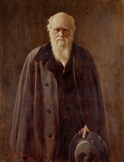 08_21_Darwin_02