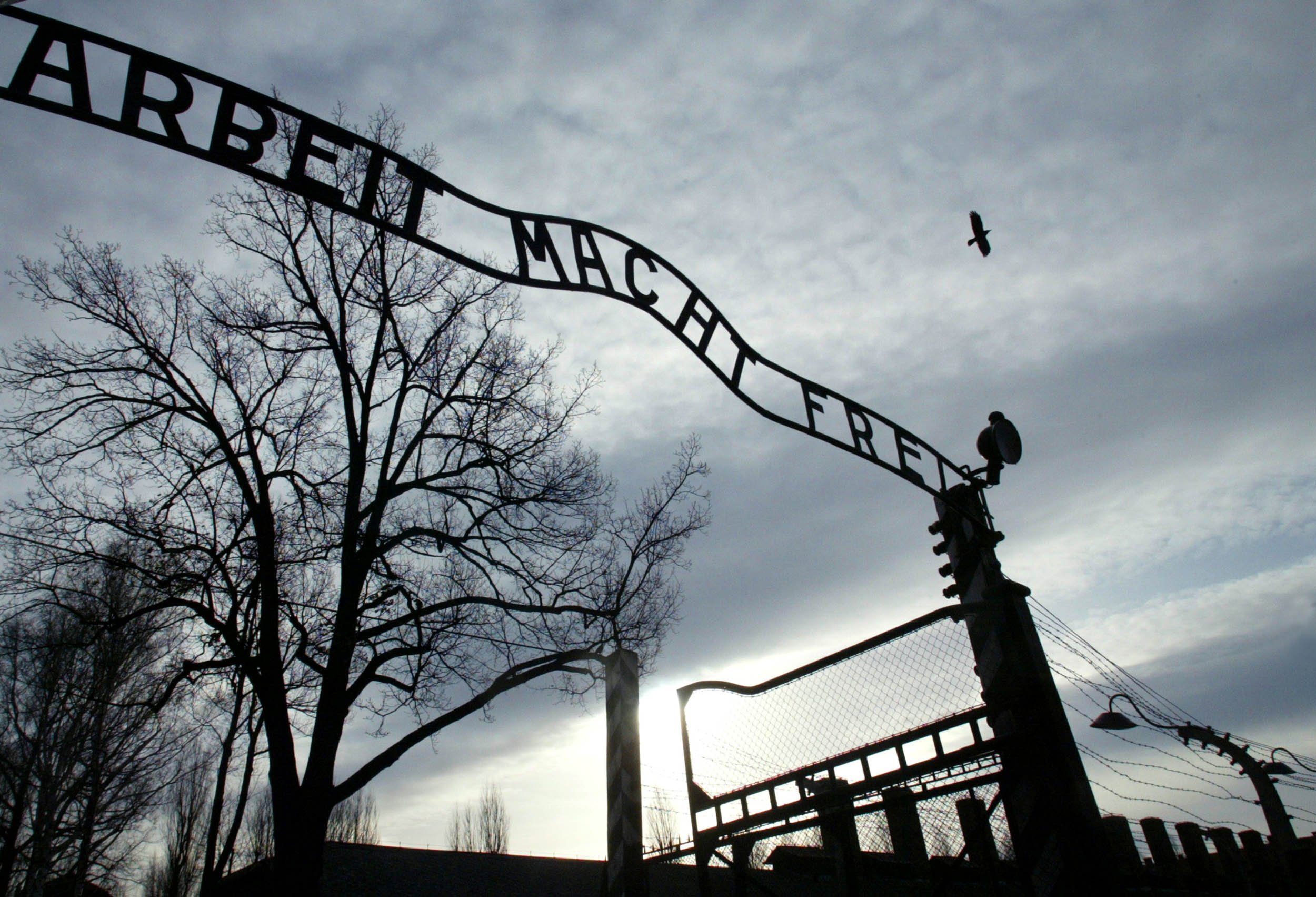 Труд освобождает. Arbeit macht frei Освенцим. Освенцим вывеска. Arbeit macht frei фото.