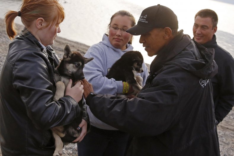 obama puppy