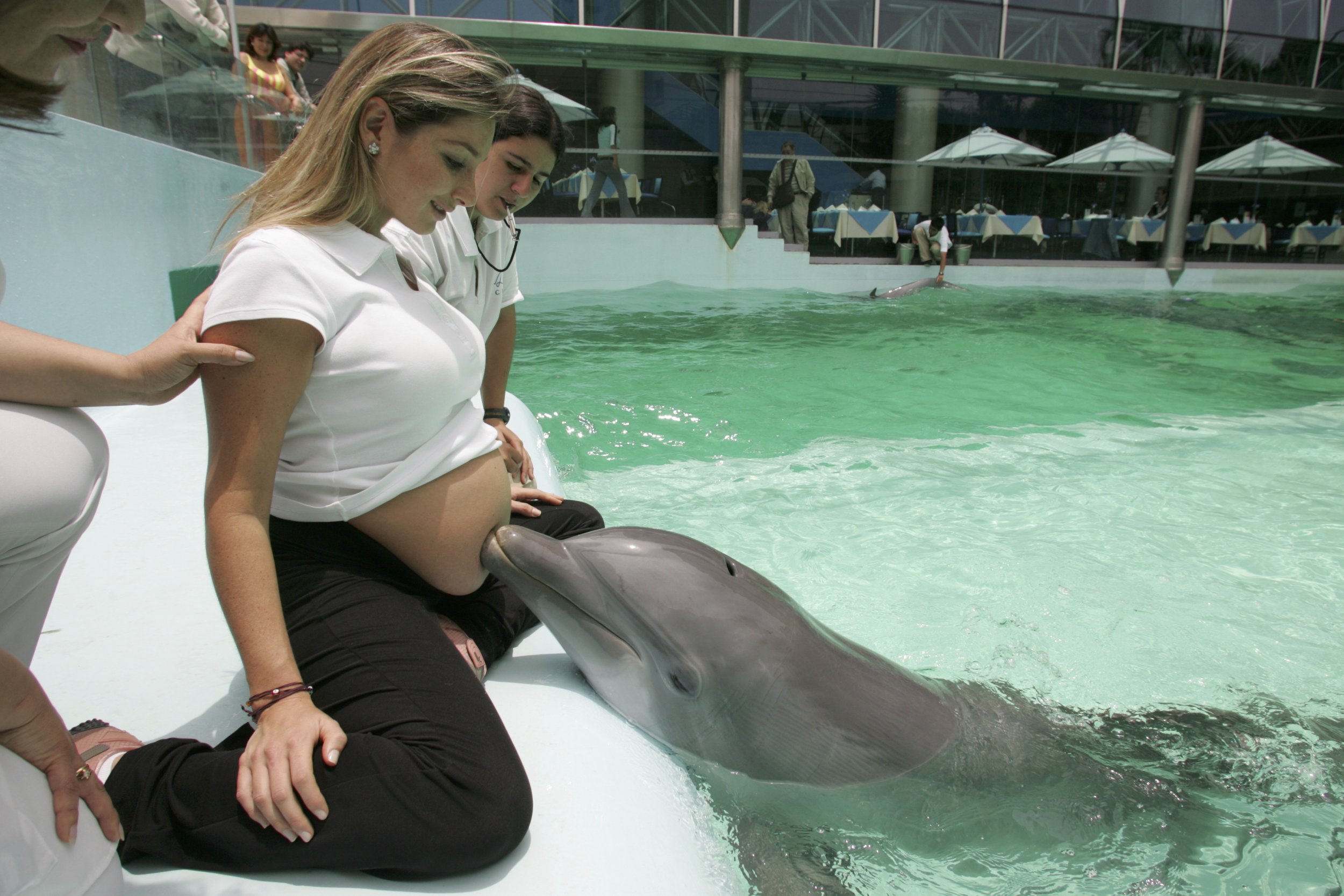 who is eight months pregnant, is touched by a dolphin named Wayra during a ...