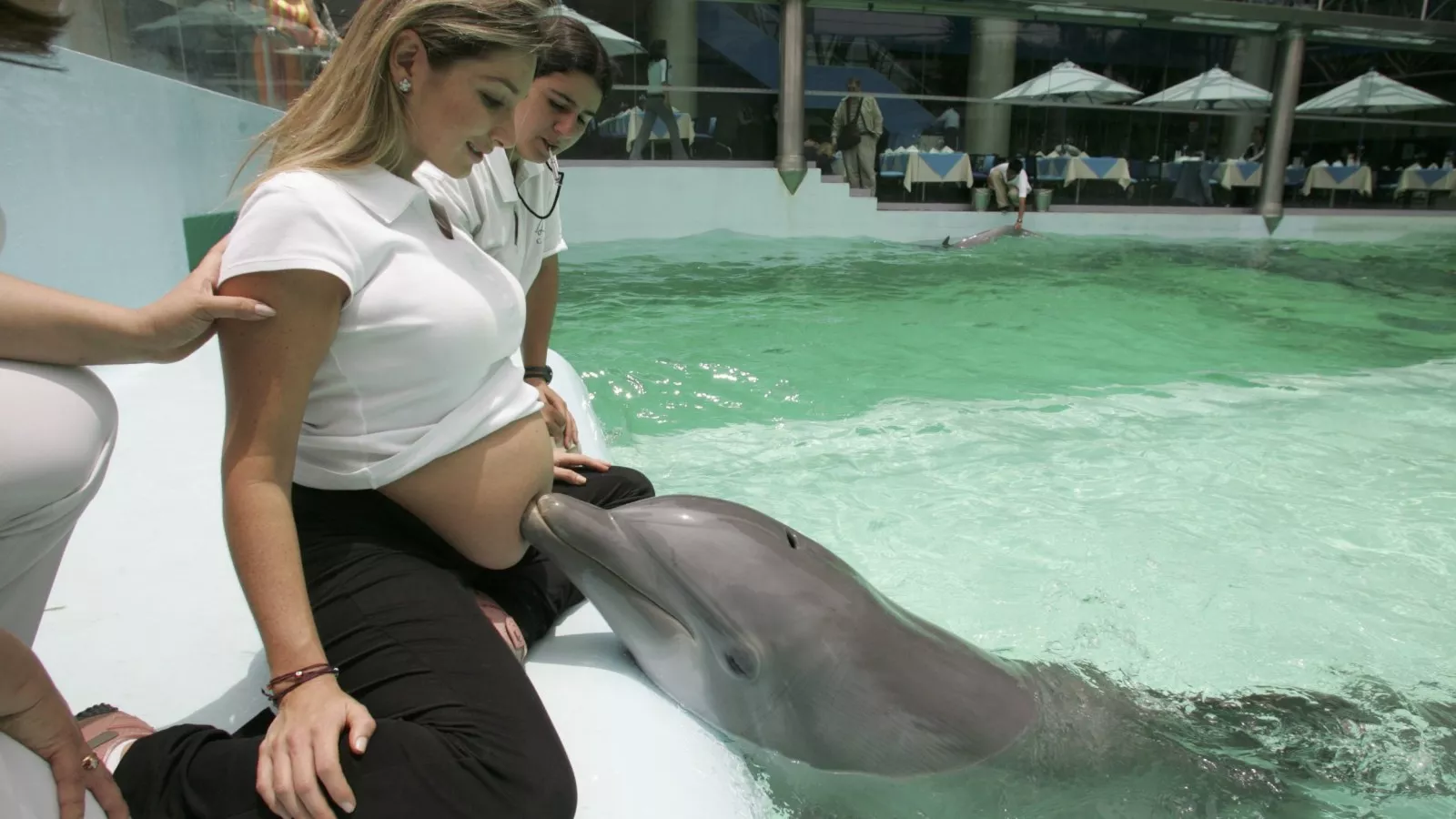 Dolphin-Assisted Child𝐛𝐢𝐫𝐭𝐡 Is a Bad Idea