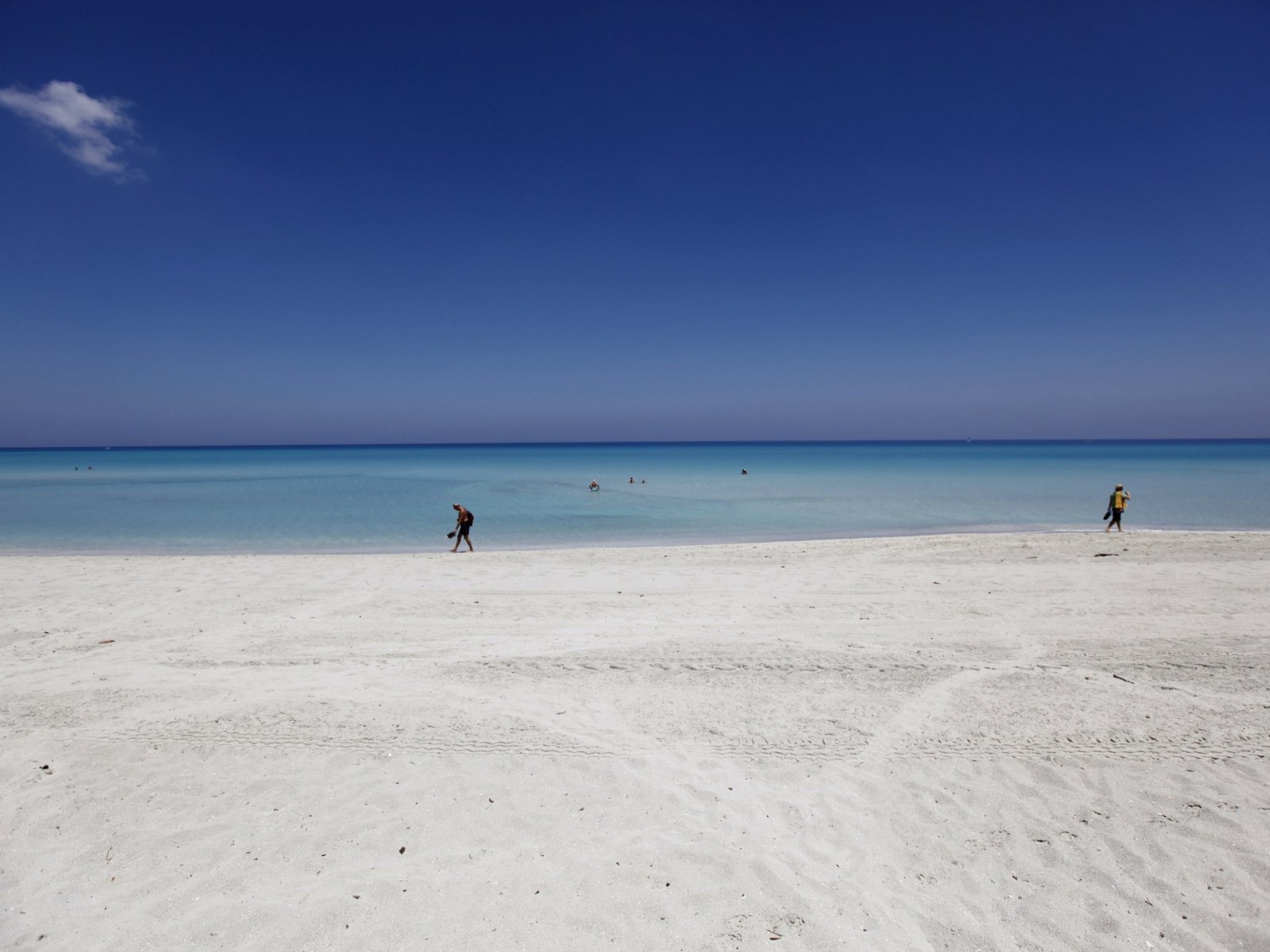 Many White Sand Beaches Are Basically Fish Poop