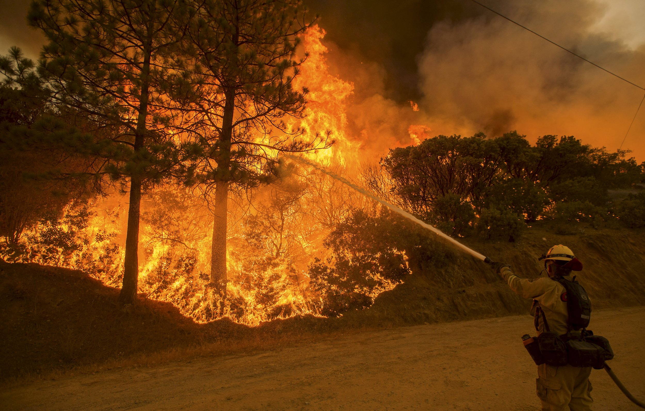 Forest fire mk ii. Дерево в огне. Пожары и климат картинка. Клифор Форест Файер. Fireground соврем.