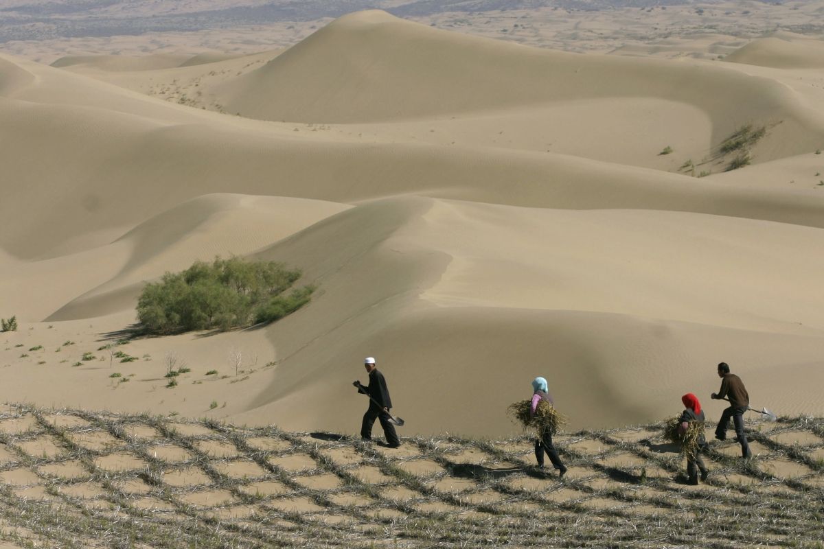 Desertification China