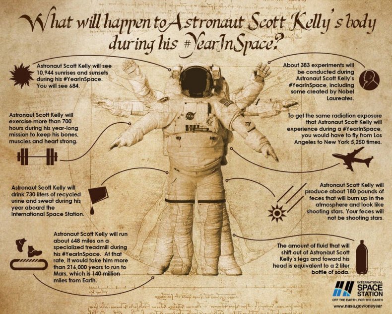 Year in Space infographic Year in Space infographic