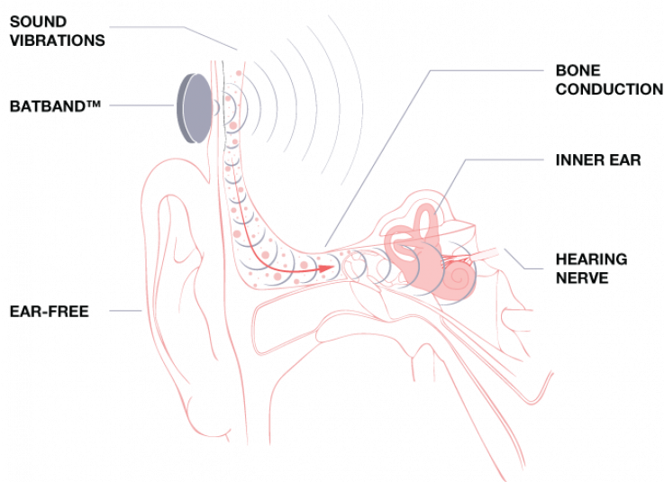 Bone conduction Bone conduction
