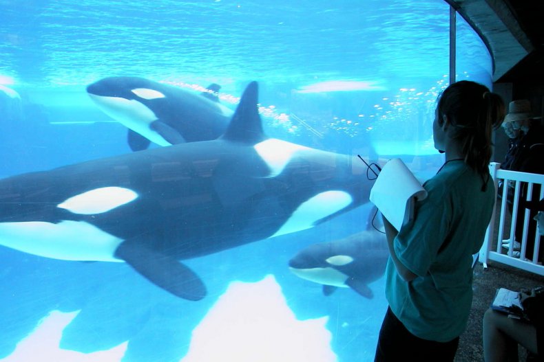 How Aquariums Can Actually Save Animals in the Wild How Aquariums Can Actually Save Animals in the Wild