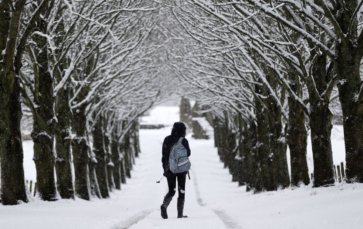 how-many-words-for-snow-gardendaze