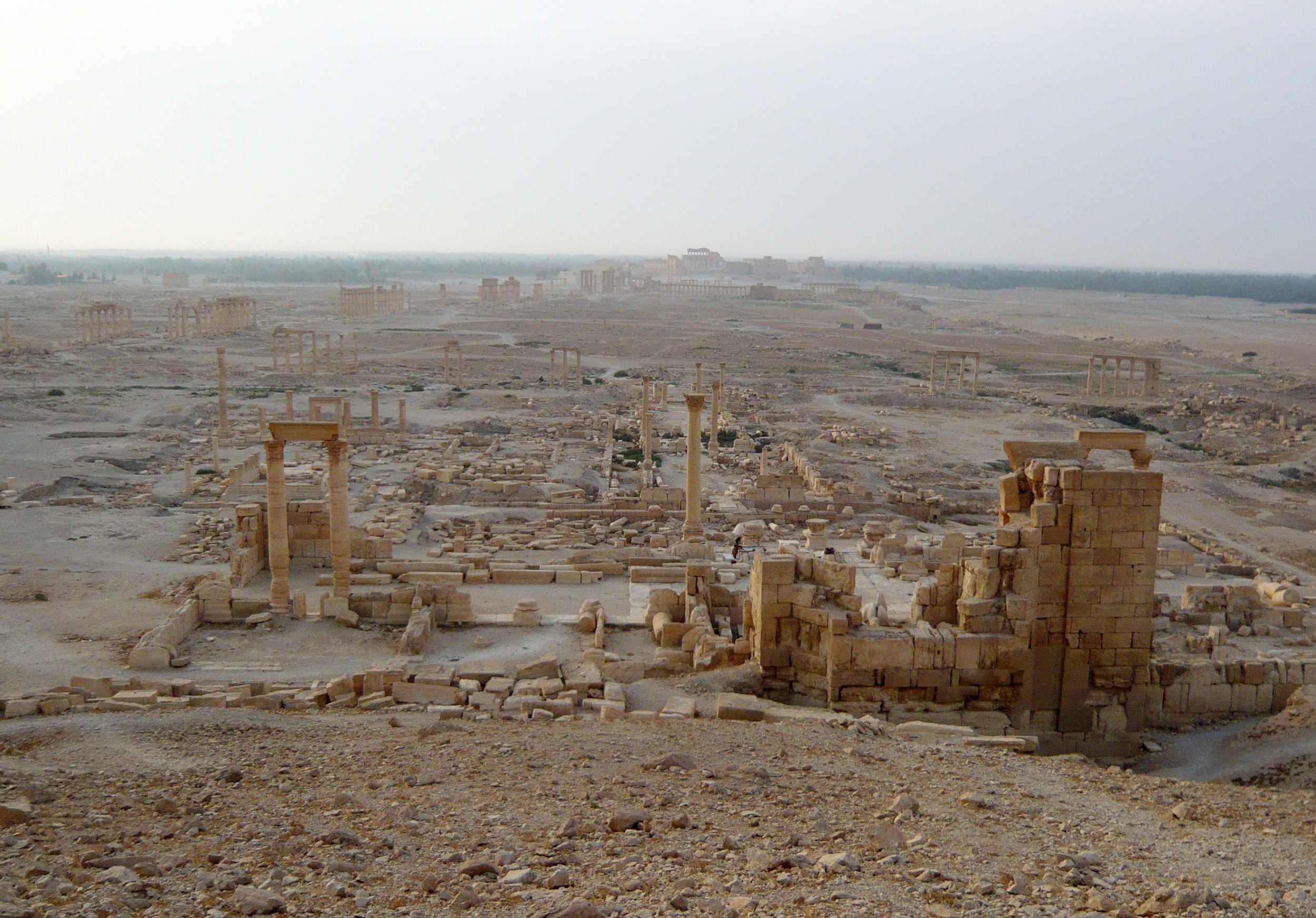 0924_Palmyra_General