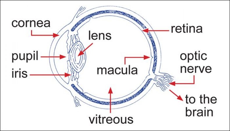 Eye diagram Eye diagram