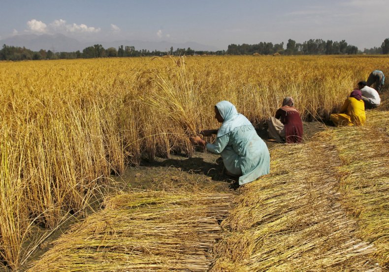 1002_India Farm