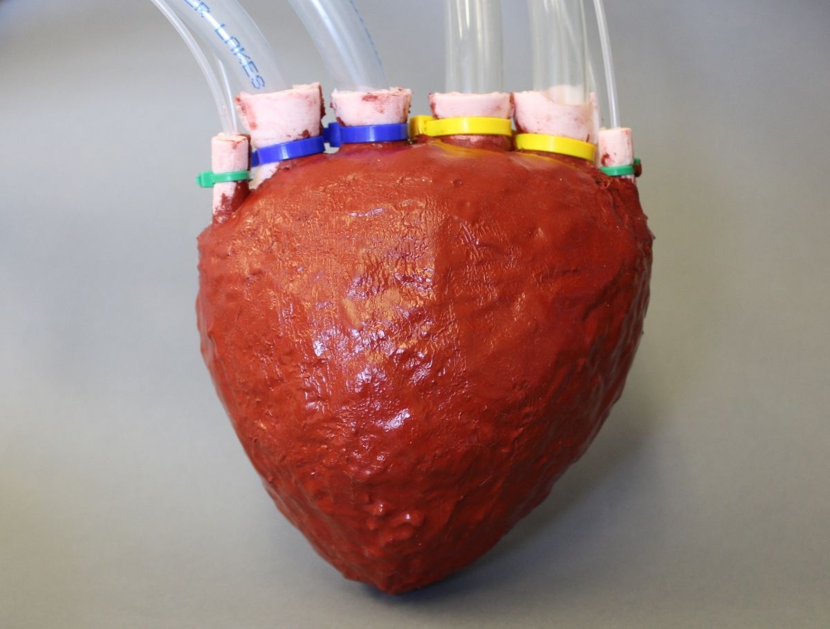 scientists-develop-fast-pumping-artificial-foam-heart