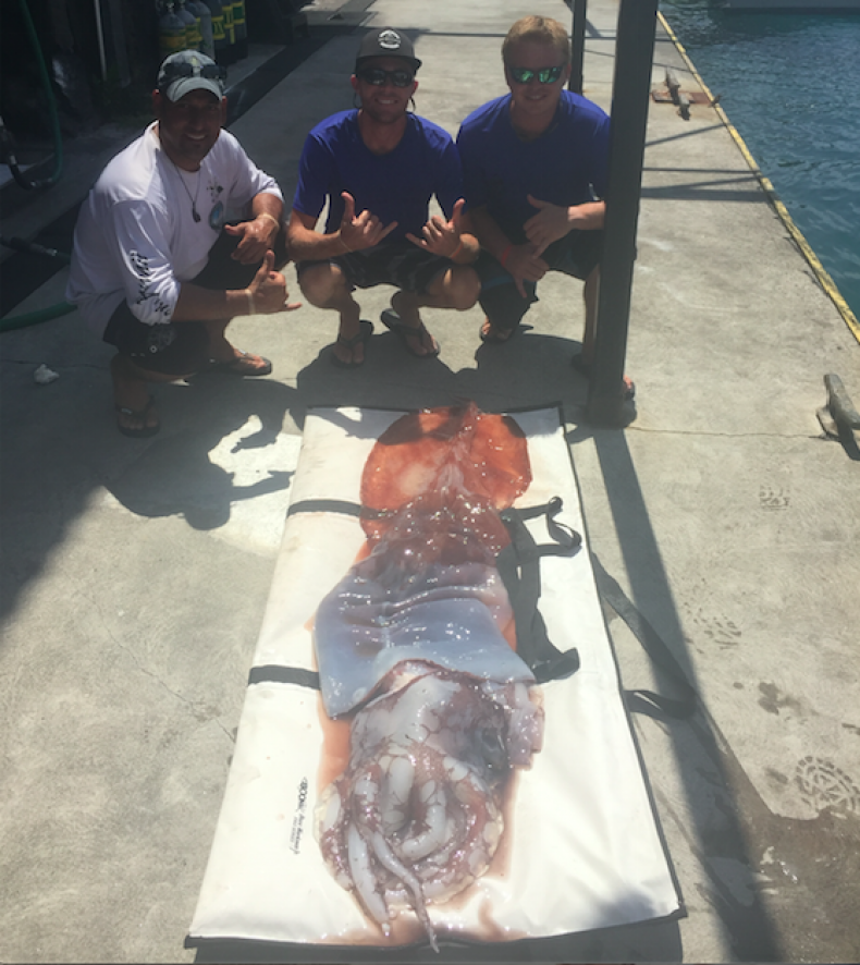 squid 4