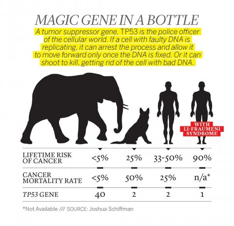 MagicGeneInABottle