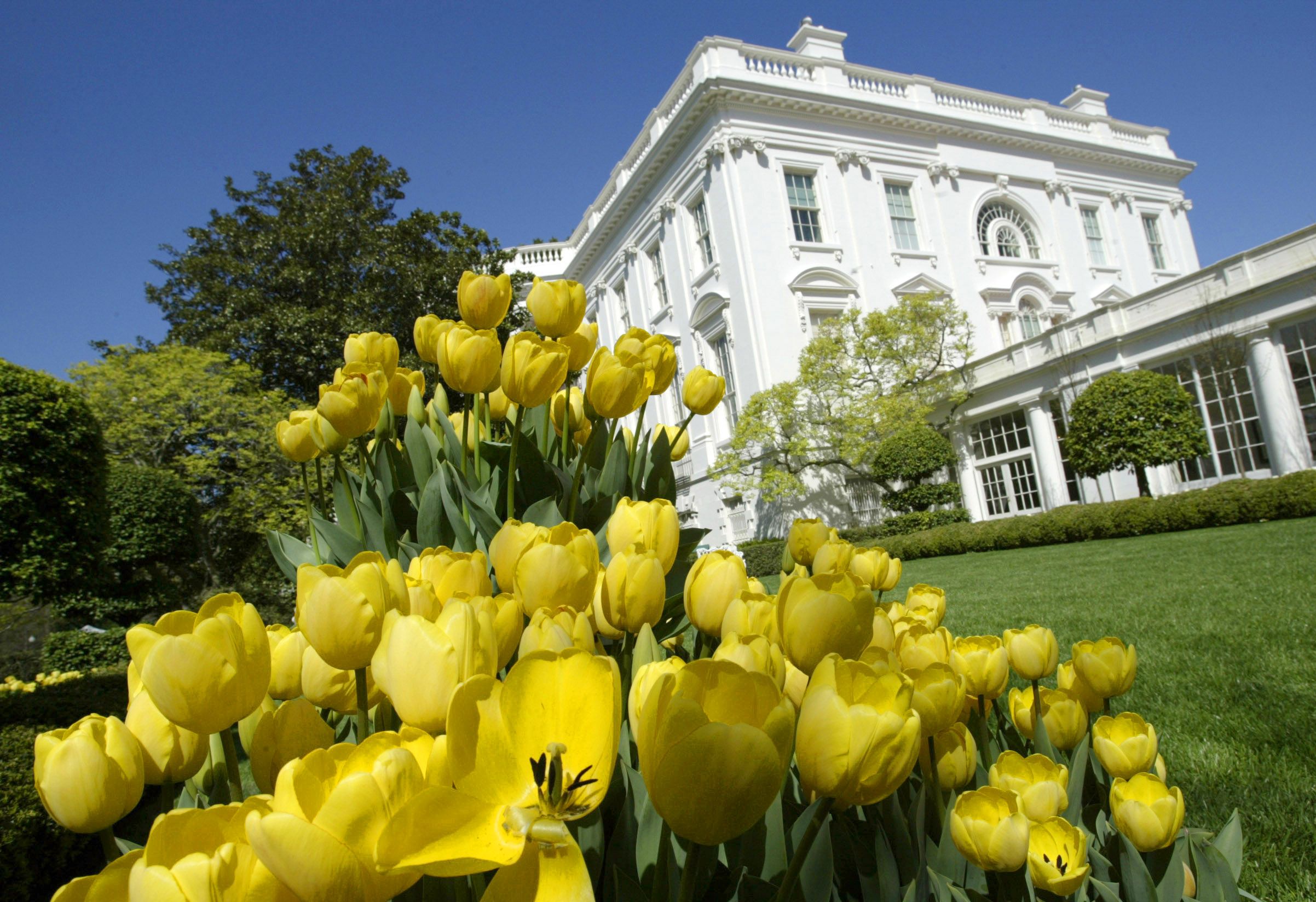 White House garden tour