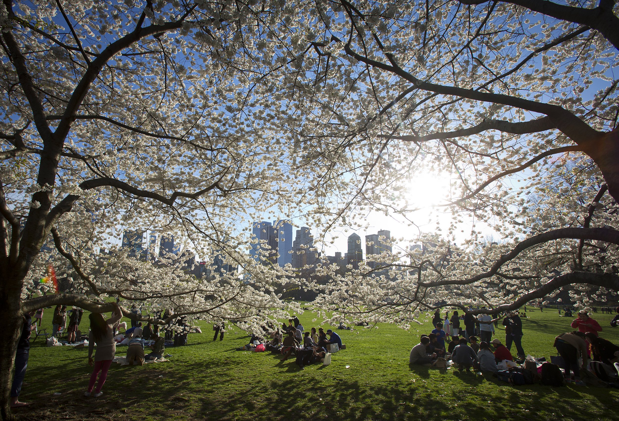 Spring Will Come Three Weeks Early in U.S. Thanks to Climate Change