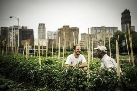 10_30_Farming_04 10_30_Farming_04