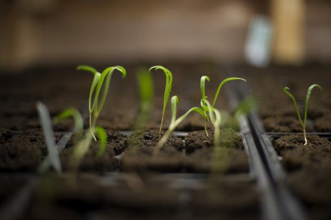 10_30_Farming_05 10_30_Farming_05