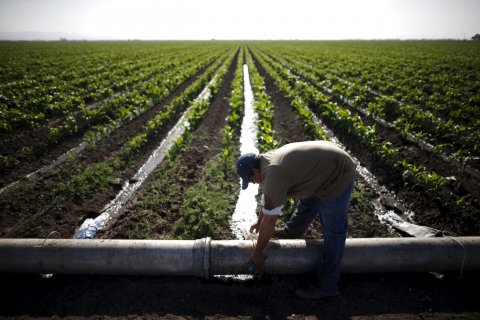 10_30_Farming_09 10_30_Farming_09