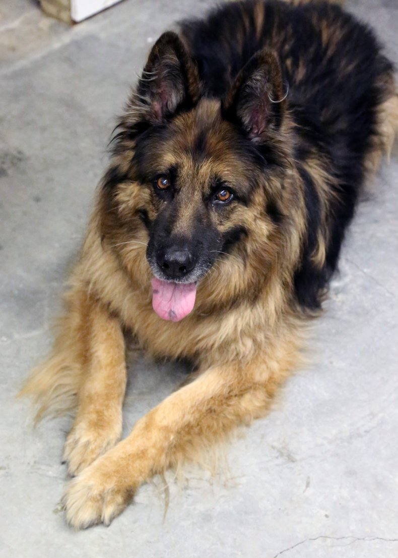 cute Kilo