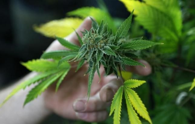 pot pot