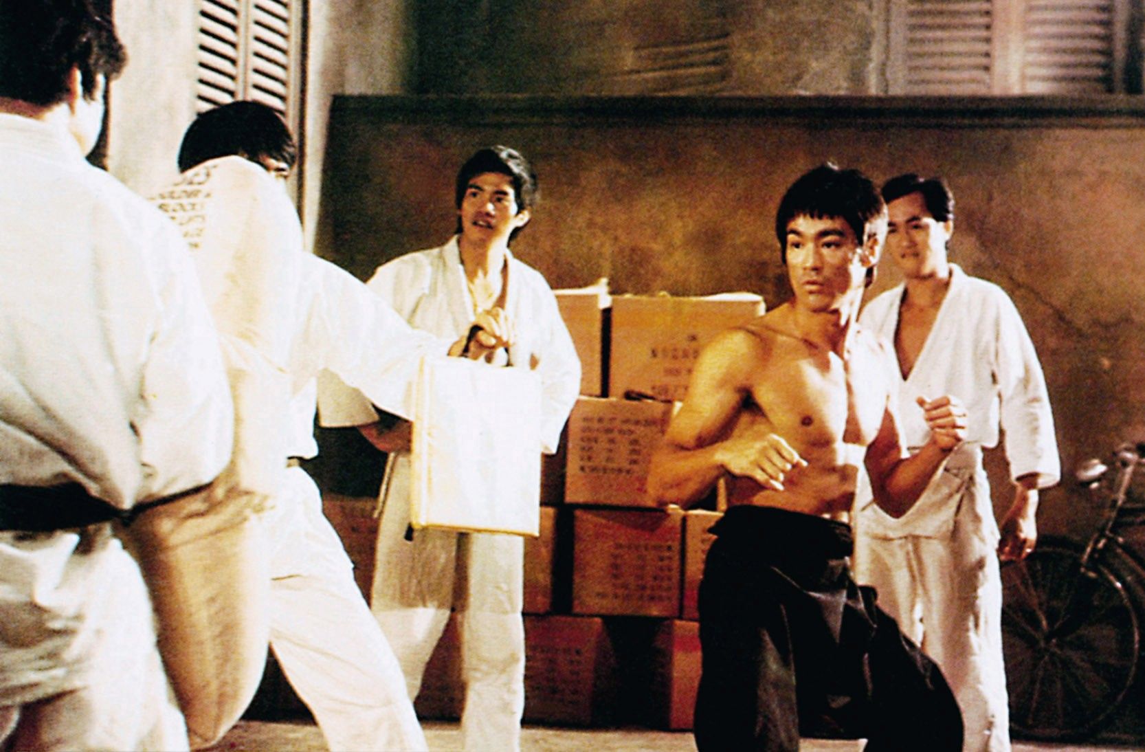 Bruce lee's martial store arts training