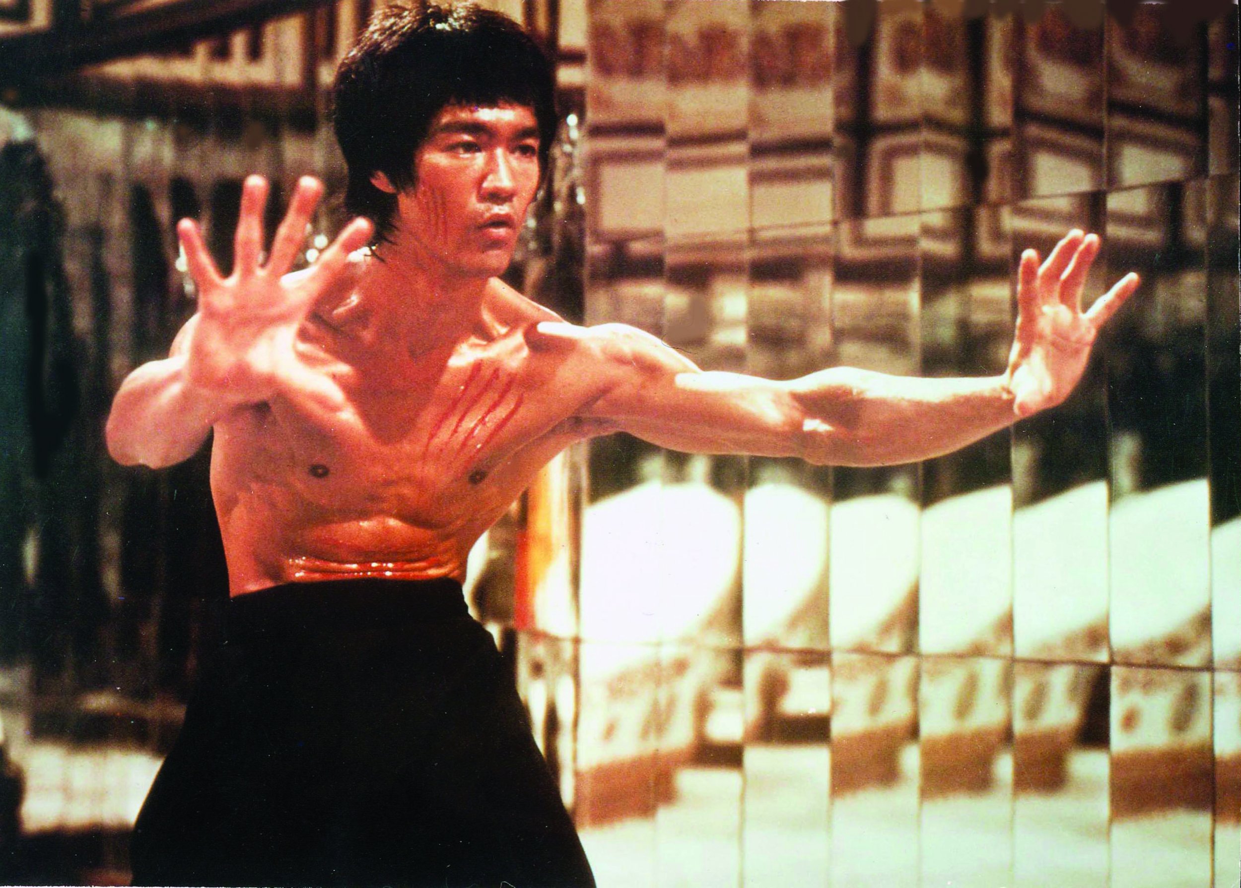 Bruce lee 2024 all fight