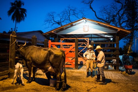 12_11_Cuba_06 12_11_Cuba_06