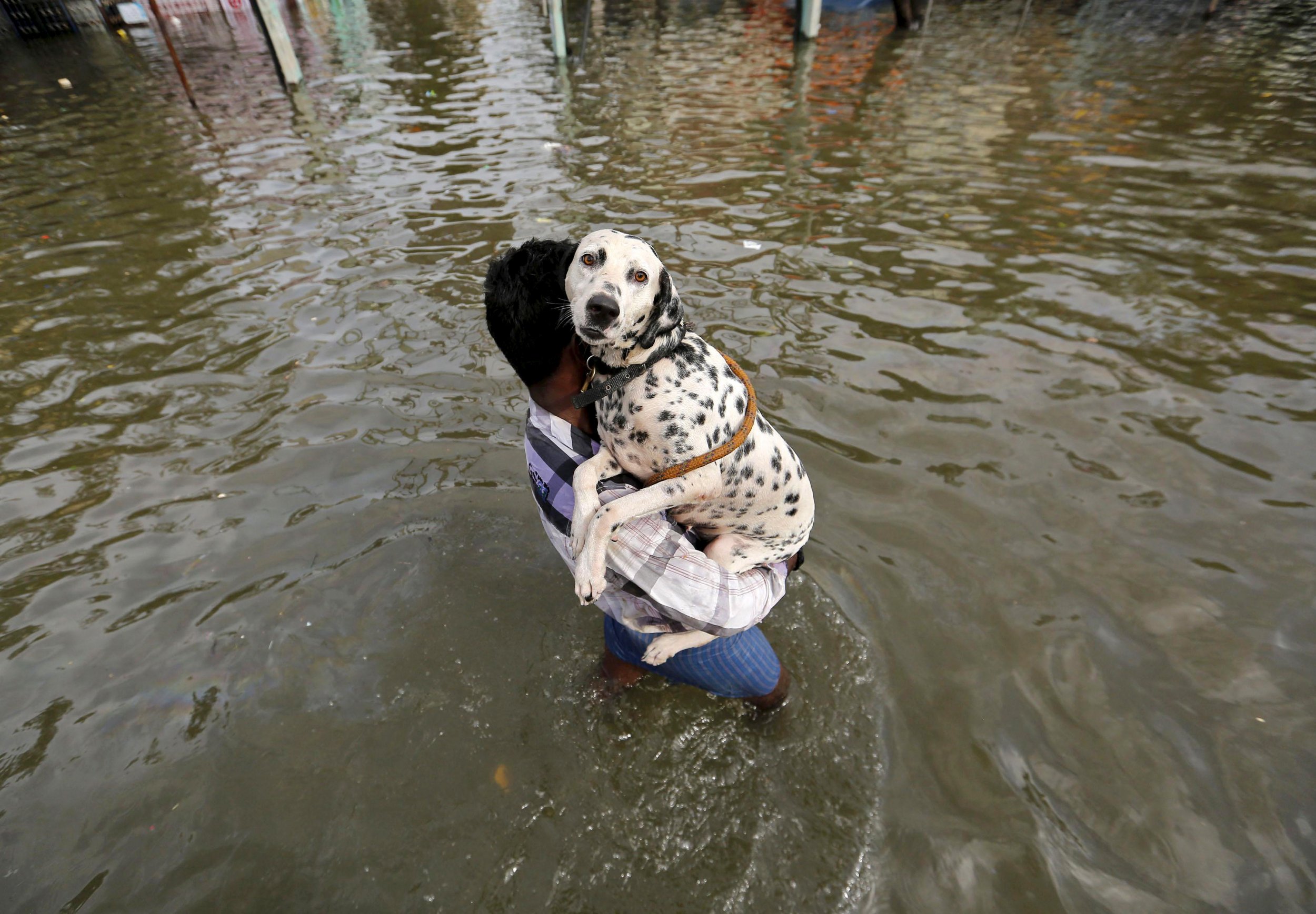 1204_indiafloods