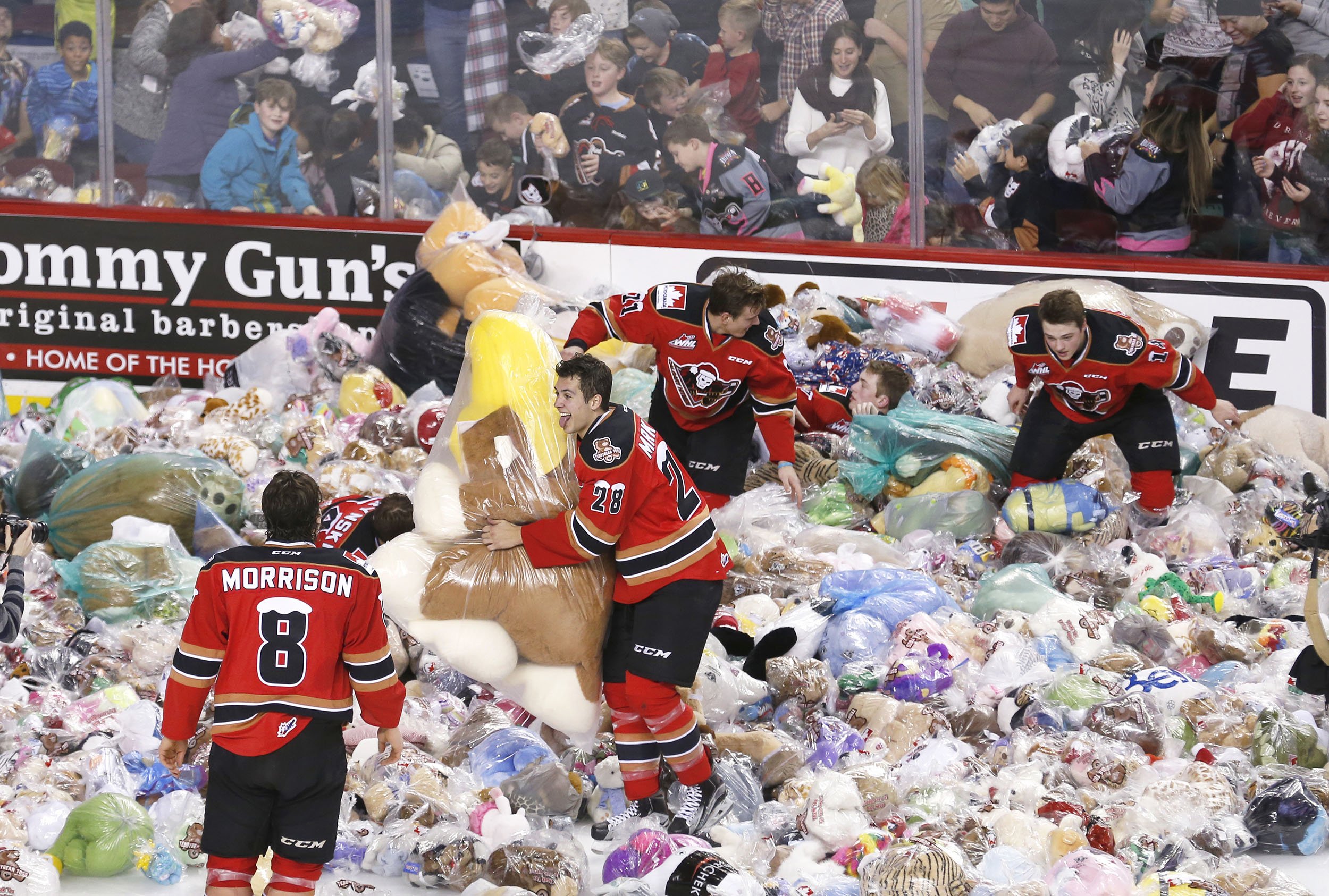 teddy bears thrown on ice